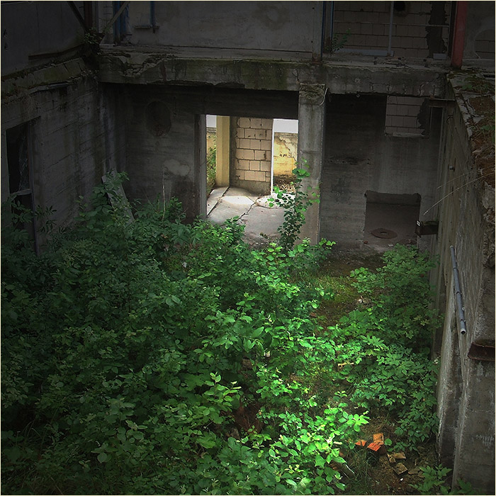 Reanimation