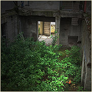 Reanimation
