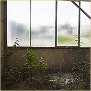 Am Fenster