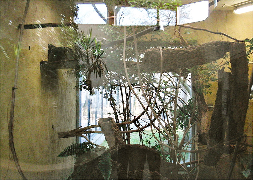 Terrarium