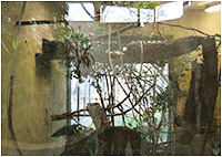 Terrarium