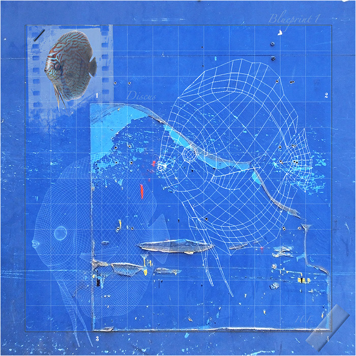 Blueprint