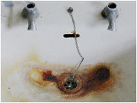 Rost